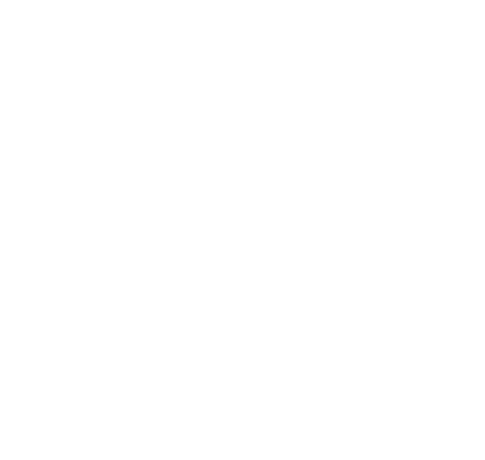 CFO à la demande